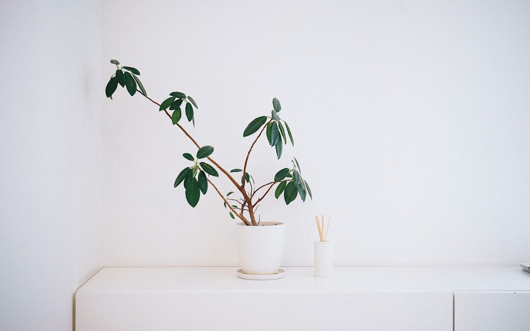 Photo Eco-friendly interior